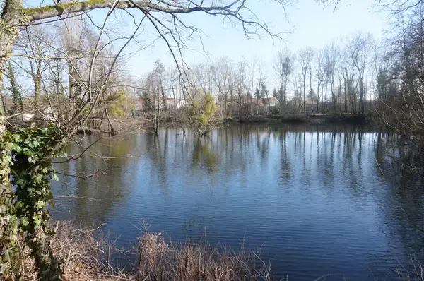 Isolation Par l’Extérieur Isolation par l'extérieur La Chapelle-Saint-Luc