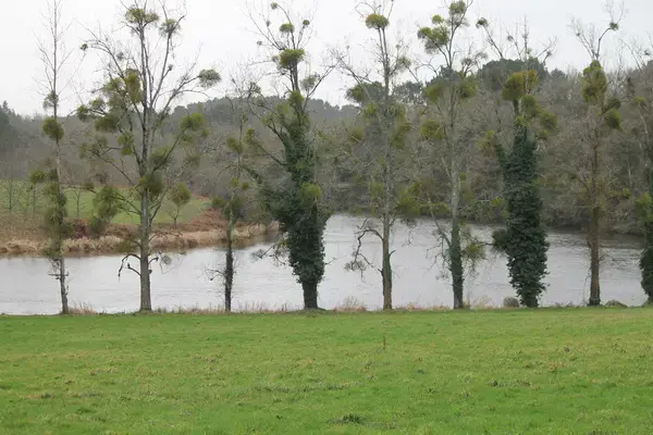 Isolation Par l’Extérieur Isolation par l'extérieur Muzillac